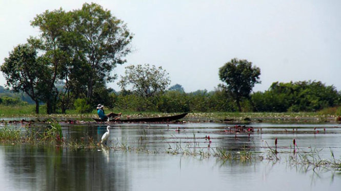 [-]Ngây[-]ngất[-]mùa[-]hoa[-]súng[-]miền[-]Tây